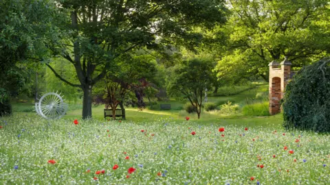 Burghley House Wildflowers with big, mature trees around them and a wooden bench seen in the distance.