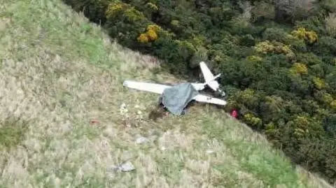 A bird's eye view of the wrecked white plane in a field. To the top are dark green bushes, dry white grass at the bottom of shot, and the corner of a muddy brown field top left, with three small figures wearing hi vis walking along the edge.