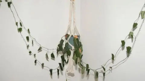 Durham Police A plant pot hangs from rope against a white wall, with green fronds straggling out