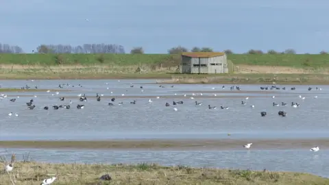 View over Frampton Marsh