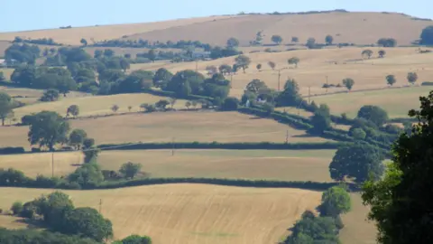 Tudur Davies. Vista de un paisaje que muestra campos resecos en Denbighshire.