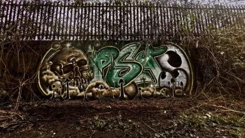 Psa A wall with a graffiti mural on it, with the letters PSA in large green letters and art showing a large skull, an eye and various mushrooms 