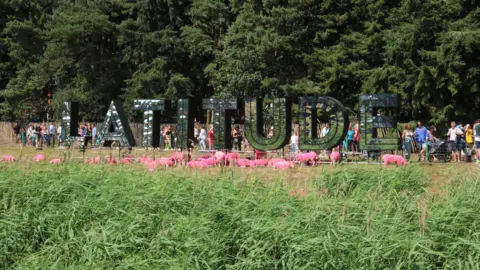 Stuart Howells/BBC A large sign saying Latitude, in reflective material. Pink sheep are grazing in the foreground.