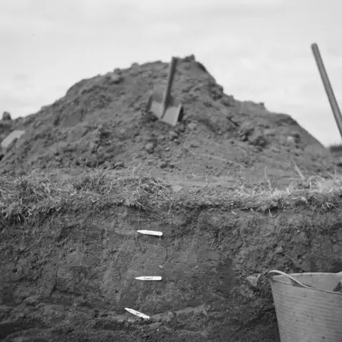 Terry Sommer White markers showing layers in a trench dug at East Lothian. There is a mound of soil with shovel in it