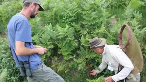 The Species Recovery Trust Two men wearing hats and looking through plants. One man is crouched down touching a plant and is holding a net.