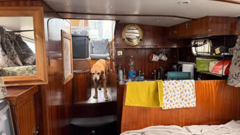 Holly Brookes The interior of a houseboat. A golden Labrador dog stands at the top of a small set of stairs that leads into another part of the boat. There is a small kitchen area to the right of the image where mugs hang on hooks and tea towels hang over the edge of a small partitioning. 