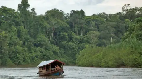 A general view of Itacoi river, on indigenous land, near the border with Peru, in Javari Valley,