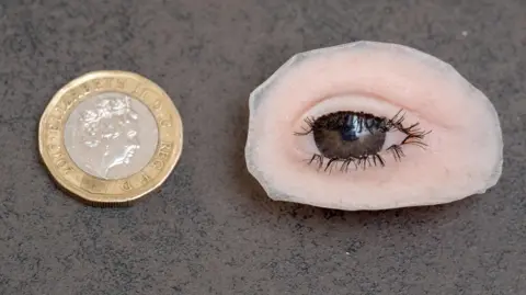 PA Media The prosthetic eye to the right of the camera, next to a £1 coin to the left, which shows a similar size 