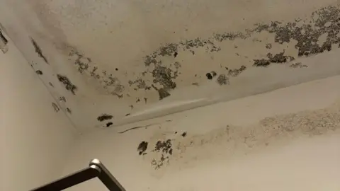 Significant mould is growing on a white ceiling. It's left several black marks and the ceiling paint is peeling. 