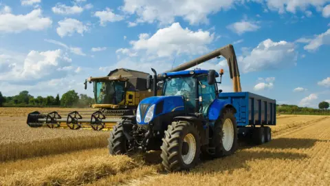 A large blue tractor pulls a blue trailer, which is being filled with grain being cut by a yellow combine harvester. It is a sunny day and there are fluffy clouds in the blue sky.