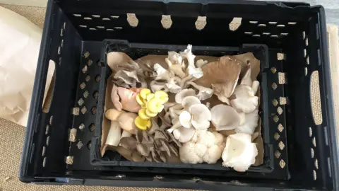 Blenheim Palace A crate containing Lion's Mane and King Oyster blue-grey, golden, and pink mushrooms.