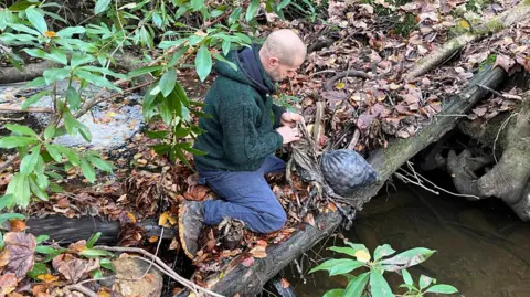 Fergus Drennan kneels by a stream in woodland and is examining a bag of acorns.