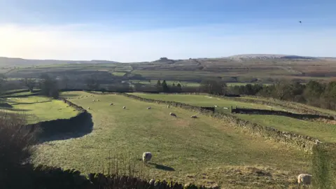 BBC Weather Watchers/Charles Middleton in Teesdale A valley of green fields. The central field has patches of frost and sheep grazing. The sun is shining and the sky is blue with some wispy clouds in the left corner. There is frost on the hills in the background.