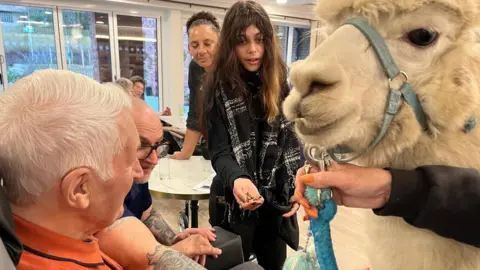 Handout A view of Prancer as he meets another resident who is sitting in a chair. Two other people are also reaching to pet him including a woman who has treats in her hand for him.