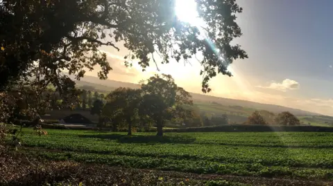 A shot of countryside in the Chew Valley with the sun low on the horizon and trees and bushes bordering green meadows