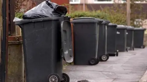 LDRS A row of black bins lining a street