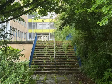 An abandoned-looking external staircase, with plants growing through the concrete, leads up to a building dominated by glass windows