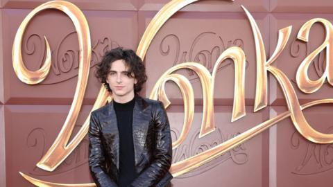 Timothee Chalamet at a premiere of Wonka