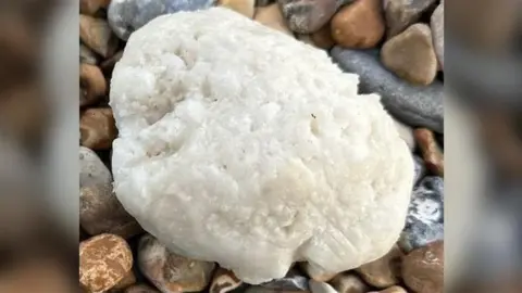 A white waxy lump on a shingled beach.