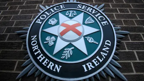 The PSNI emblem on a brick wall. It includes a harp, scales, a troch, a leaf, a shamrock, and a crown.