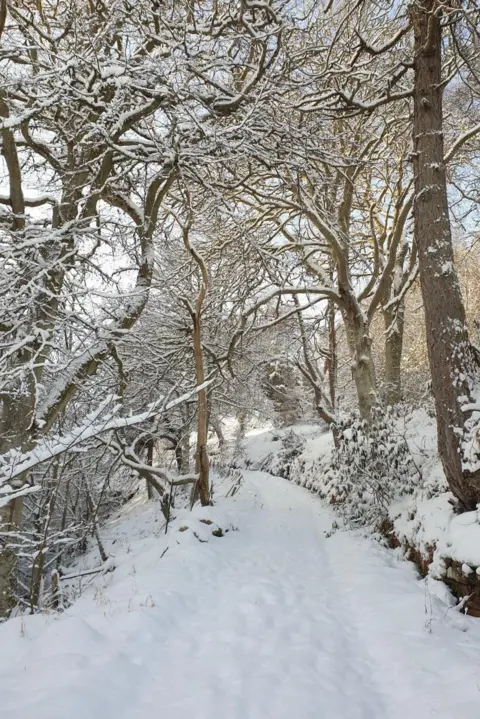 Patricia Niemann Snow at Berriedale