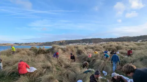 A group of people dressed in hats and jackets are spread out across a sand dune amongst large clumps of tufty marram grass. Some of them have rubbish bags.
Their clothes are a range of colours and someone with a bright red coat has their back to the camera, whilst another has a high vis fluorescent yellow jacket.  the dune is on the edge of a bay with an azure blue sea and houses to the right.