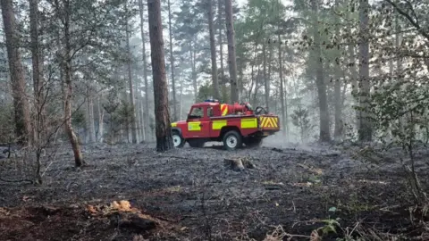 4x4 fire vehicle in woodland with smoke rising and black charred ground due to fire.