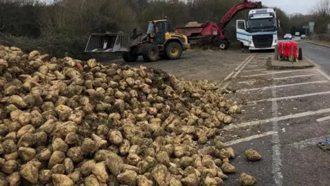 Sugar beet being removed from a road in Ipswich, Suffolk