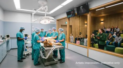 ZSL CGI artist’s impression showing members of the public observing a wildlife veterinary procedure on a tiger inside a glass-fronted hospital at ZSL’s planned wildlife health centre.