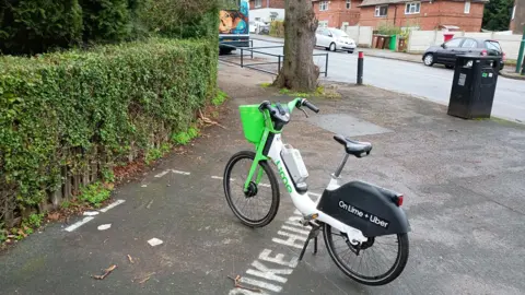 An official ebike, standing in a painted parking area, with the metal corral visible in the background