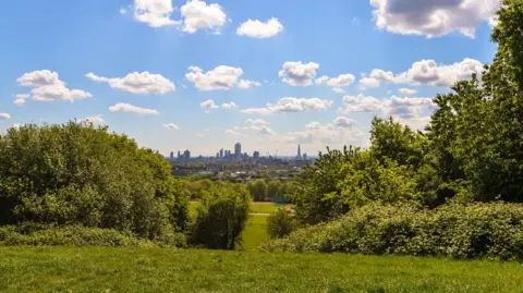 Getty Images London's skyline set against a blue summer sky with white clouds. Green trees and grass fill the foreground of the photo which is taken from a hill. 