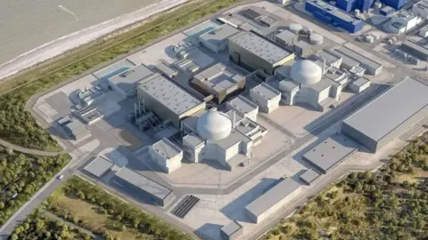 An artist's impression of what the new Sizewell C plant will look like from the air. There are many industrial buildings pictured in light grey in the countryside next to the sea.