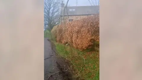 Jayne Brearley Churned up mud can be seen by the side of the road with branches having fallen off a tree and one hanging off. A house can be seen in the background.
