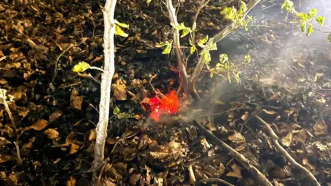 Dean Elcome/Natural England A close-up image showing a bright orange flame on the floor of a woodland, among lots of leaves and branches. 