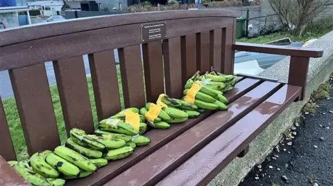 Bananas on a brown bench at the side of a path 