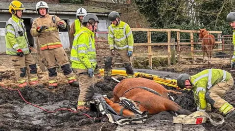 Seven rescuers in high-vis uniforms and helmets surround a horse which is on its side and stuck in the mud. The ground in the paddock, which is bordered by wood fences with metal gates, is think with dark, churned up mud.