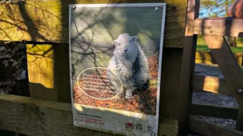 A sign nailed to a fence in a field near Kendal. The sign has detail warning dog owners about the dangers of dog poo and asks owners to pick up after their pets. There is a herdwick sheep on the sign.