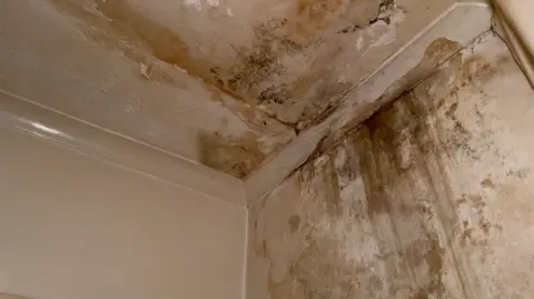 A photo of the corner of the ceiling. The original colour of the paint is cream but there is a dark patch spreading with dark damp and mould.