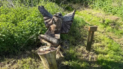 A wooden owl falling over slightly as it appears to have been pulled from a wooden trunk below. There are exposed pins beneath it and a grassy path in the background.