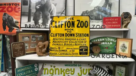 BBC A yellow enamel zoo sign surrounded by other zoo memorabilia such as zoo signs, pictures of gorillas and mini gorilla statues