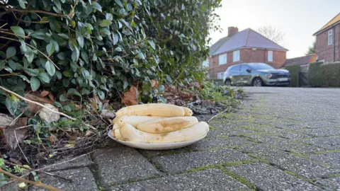 BBC A plate of bananas sits on a street in Nottingham with a house in the background. 