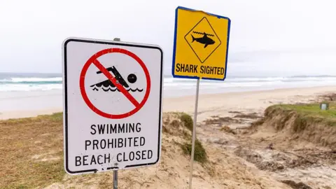 Getty Images Una playa con dos señales, una que dice "Prohibido nadar, playa cerrada." al lado hay un símbolo tachado de una persona nadando, el otro dice "Tiburón manchado" junto al símbolo de un tiburón bajo el agua