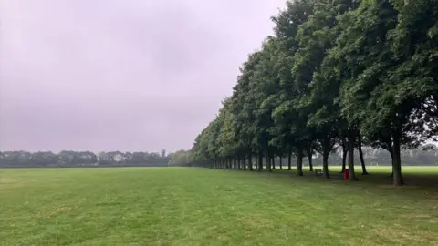 A large green field with a long avenue of tall trees on the right hand side. In the distance a further row of trees are visible.  