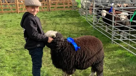 submitted A young boy wearing a flat cap with black hood and dark blue jeans. He is tending to a cow, which has a brown coat and a blue rosette, in a field enclosure.