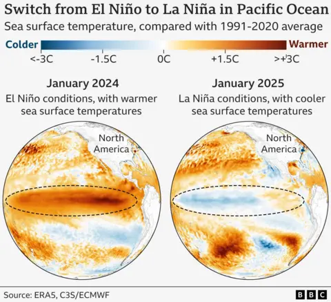 Two globes are shown, focused on the eastern Pacific Ocean. The globe on the left shows sea surface temperatures in January 2024, compared with the long-term average. The tropical Pacific is much warmer than average, shown in yellows and oranges, representing El Niño conditions. The globe on the right is the same, but for January 2025. The tropical Pacific is cooler than average, shown in light blues, representing weak La Niña conditions. 