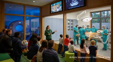 CGI artist’s impression of a veterinary operating theatre where a sedated tiger is being treated by staff, with visitors watching through a glass viewing gallery.