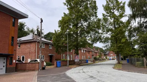 Shaun Whitmore/BBC A row of semi-detached, red brick houses is shown to the left of the picture with a road running in front of them and some tall trees in the foreground.