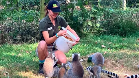 A woman in a zoo uniform kneeling on grass and feeding a group of ring-tailed lemurs gathered around a container of food.