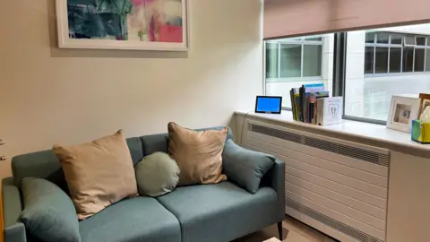 WISHH A modern blue sofa with beige cushions next to a shelf space with books and pictures on it. There is a brightly-coloured painting on the wall.