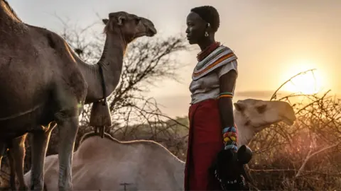 AFP via Getty Images A young female pastoralist in Kenya wearing Samburu bead jewellery (bracelets and necklaces) prepares to milk camels at dawn in 2025.